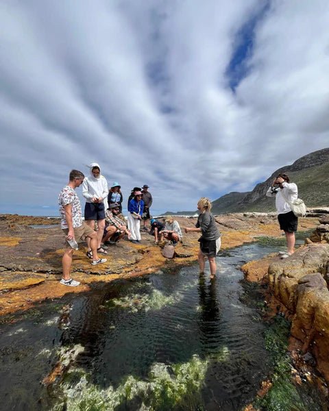 Private Coastal Forage Experience & Wild Food Picnic