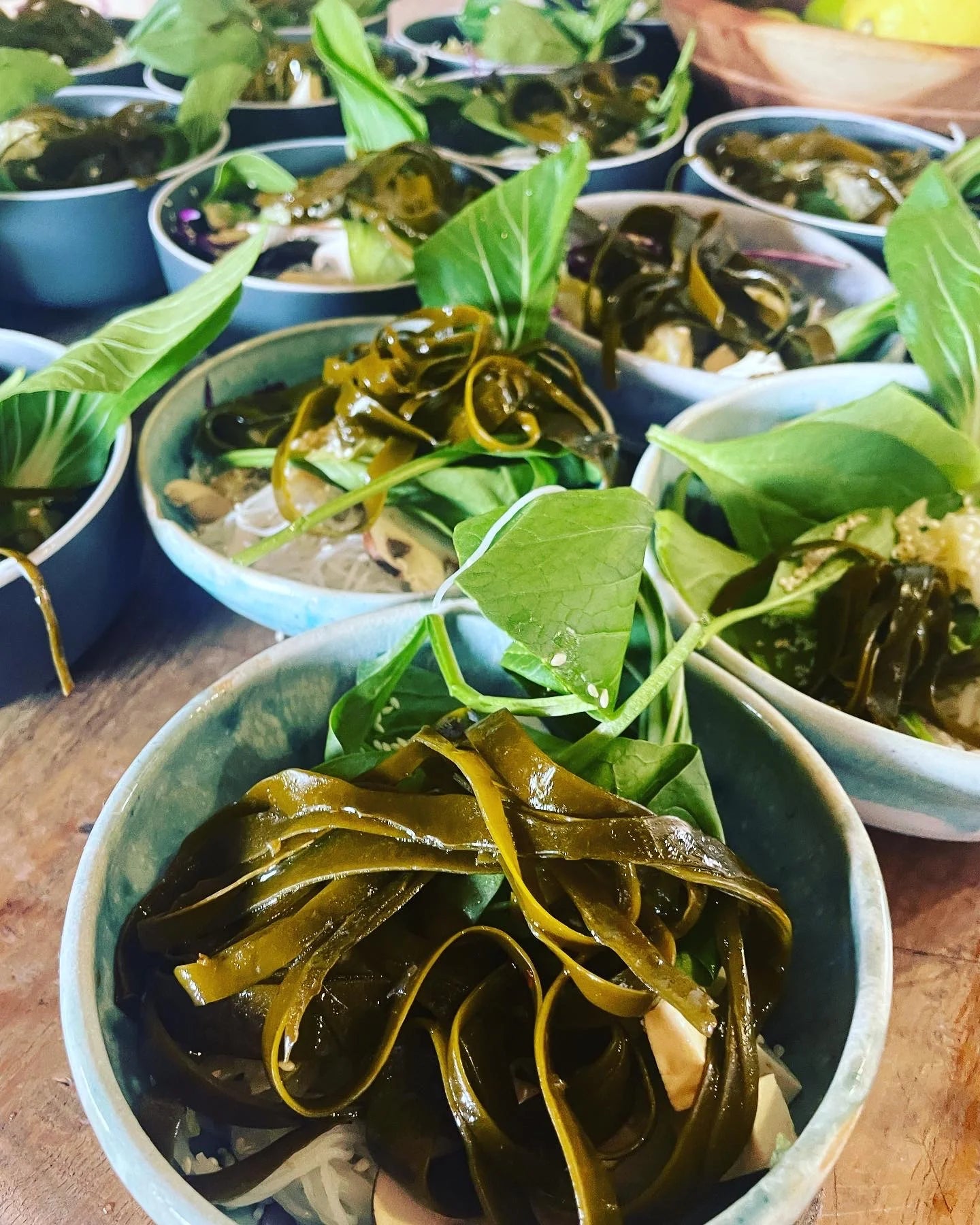 CAPE POINT COASTAL FORAGE & WILD FOOD PICNIC