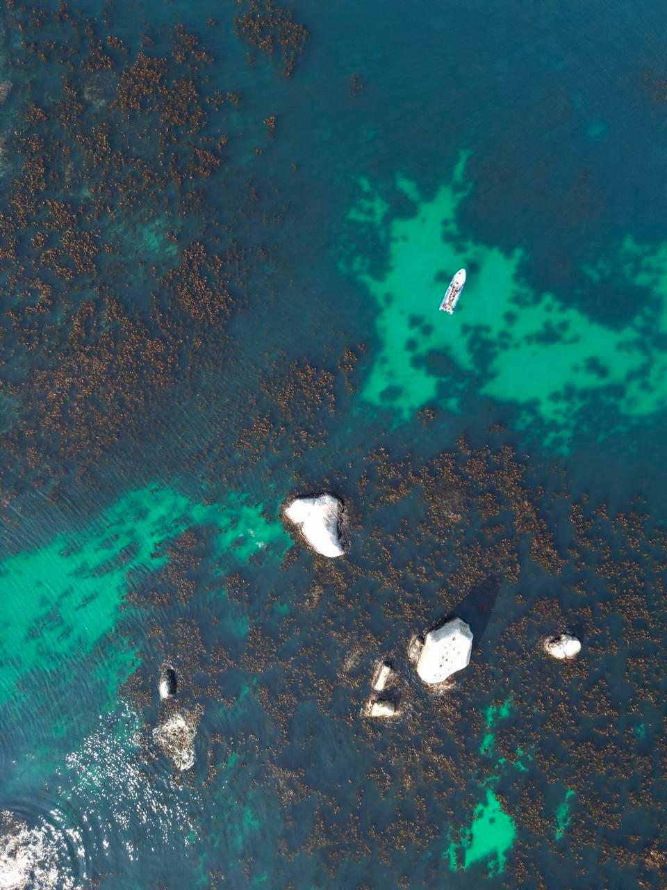 Full Day Ocean Wellness Immersion