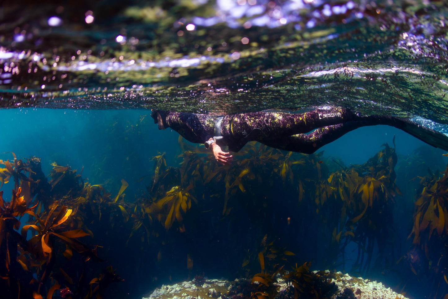 Half-Day Snorkelling & Wellness Experience