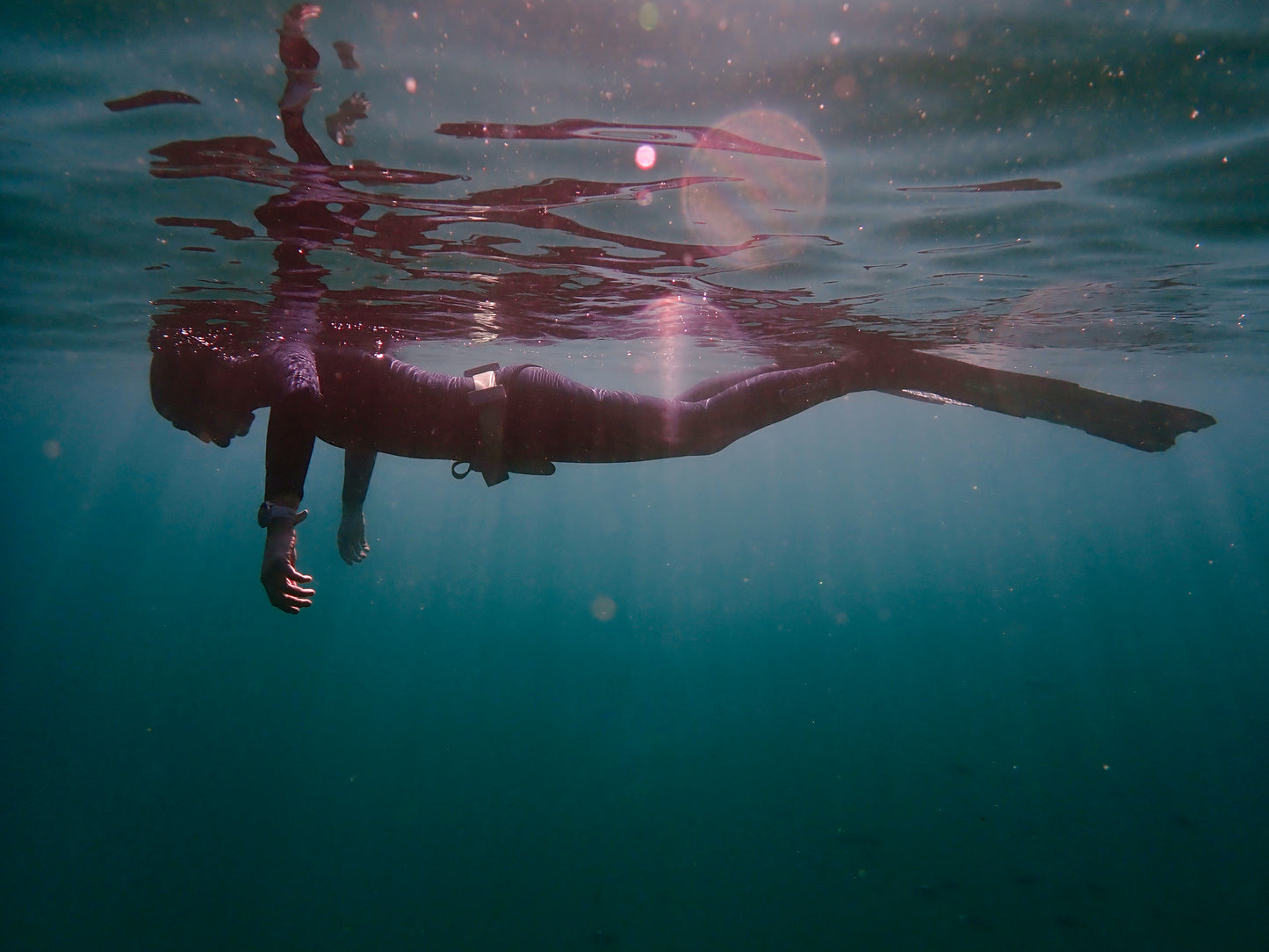 Full Day Ocean Wellness Immersion