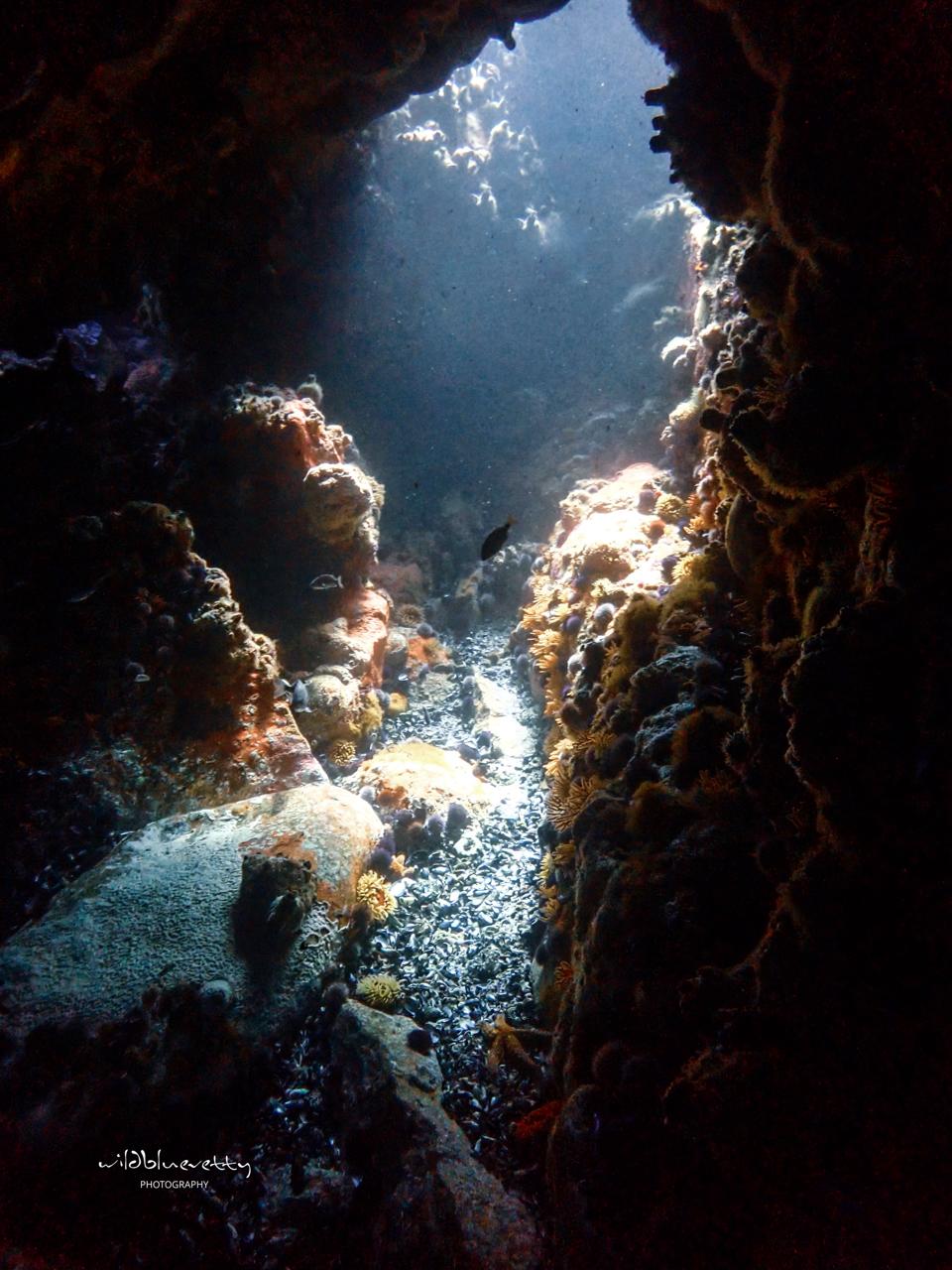 Full Day Ocean Wellness Immersion