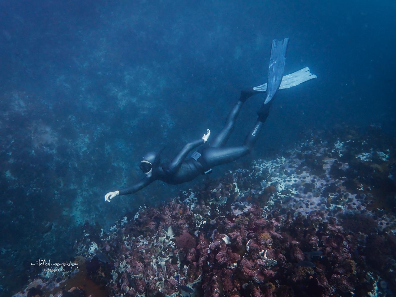 Half Day Ocean & Wellness Immersion