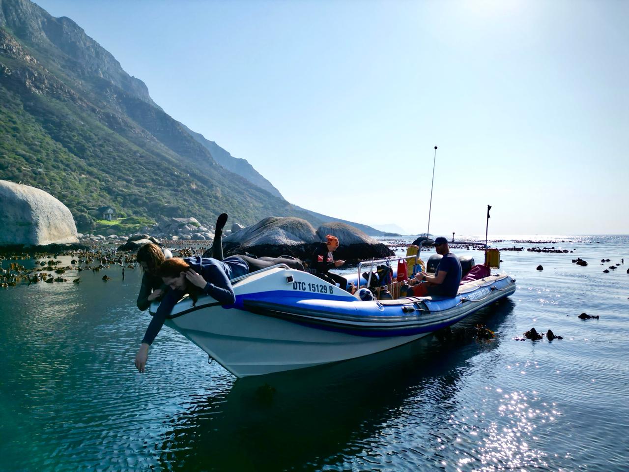 Full Day Ocean Wellness Immersion