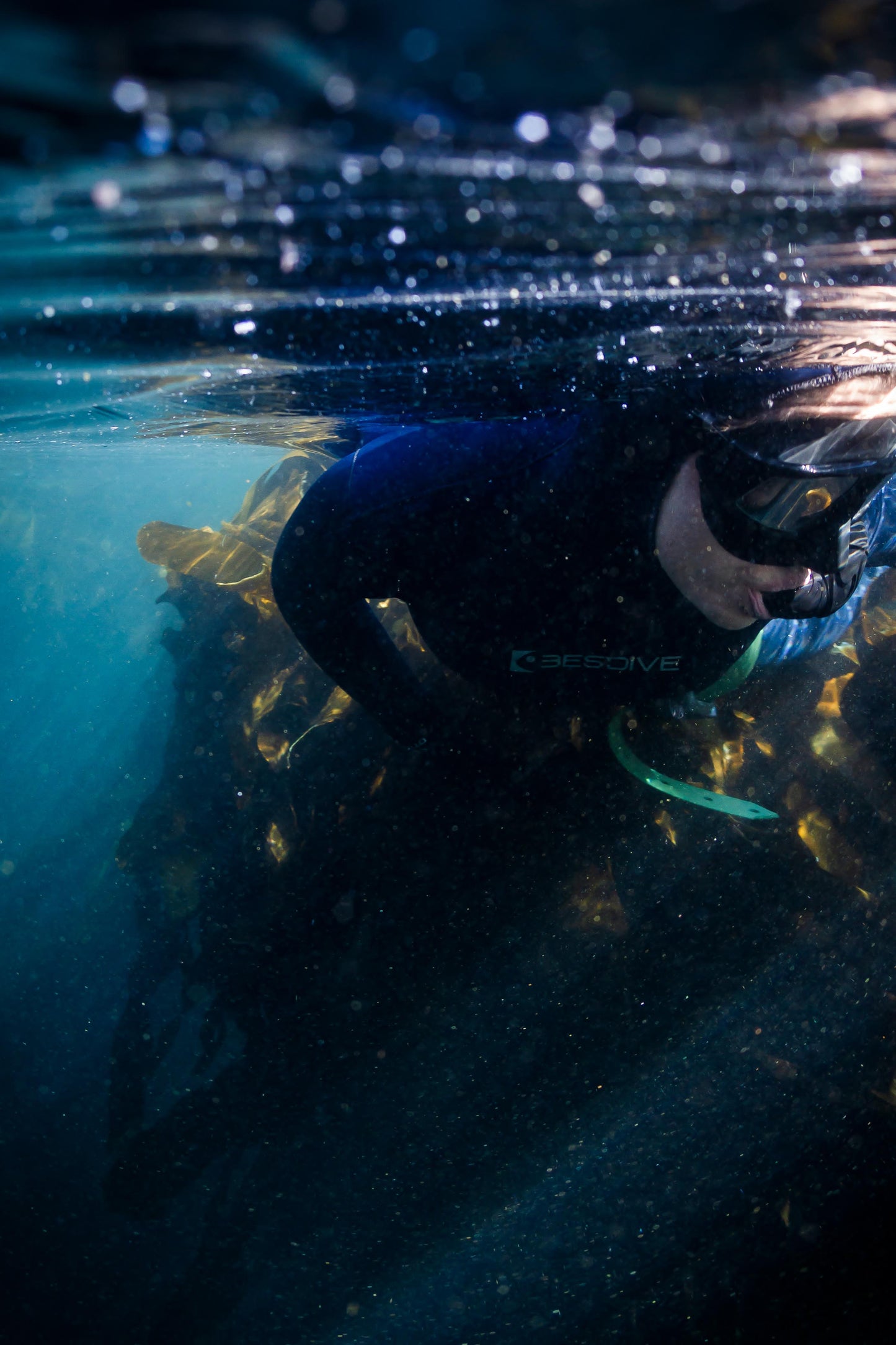 Wild Within Snorkelling Experience