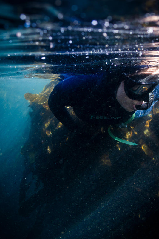 Wild Within Snorkelling Experience